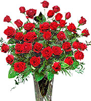 Roses, Roses, Roses!