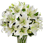 FTD® Spirited Grace Lily Bouquet