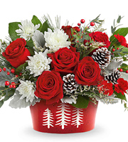 Teleflora Snowy Pines Centerpiece Deluxe