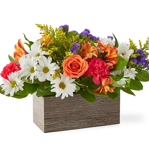 FTD Oopsie Daisy Flower Box