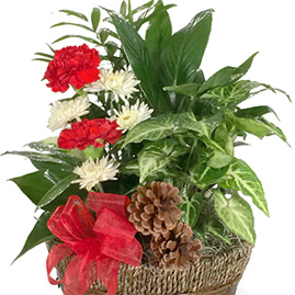 Happy Holidays Planter Basket