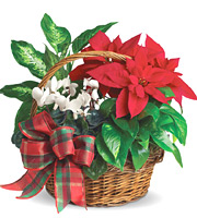 Holiday Homecoming Basket
