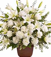 Serenity Sympathy Flowers Tribute